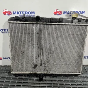 RADIATOR MOTOR