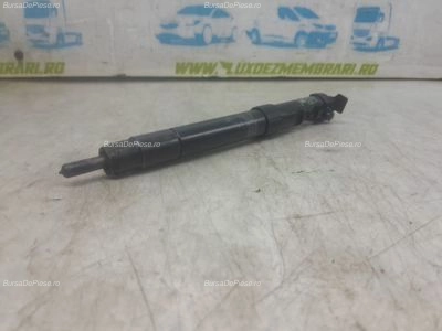 Injector 2.0 hdi hybrid rhc