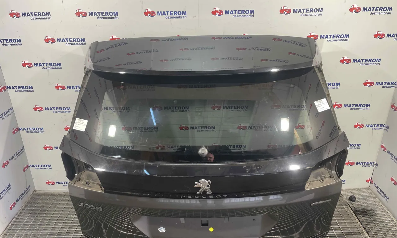 HAION PEUGEOT 3008 II 2016-2020