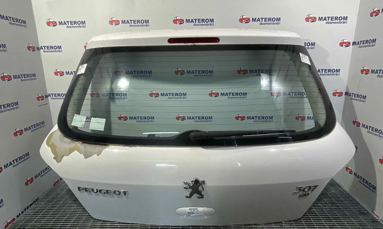 HAION PEUGEOT 307 2000-2012