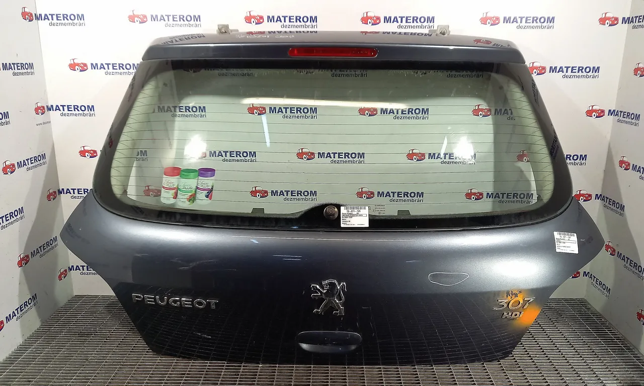 HAION PEUGEOT 307 2000-2012