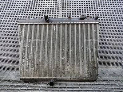RADIATOR MOTOR