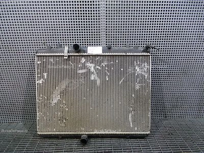 RADIATOR MOTOR