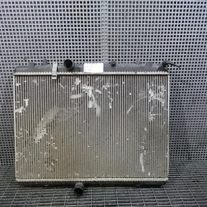 RADIATOR MOTOR