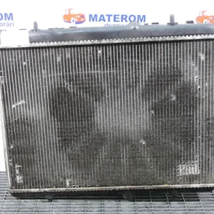 RADIATOR MOTOR