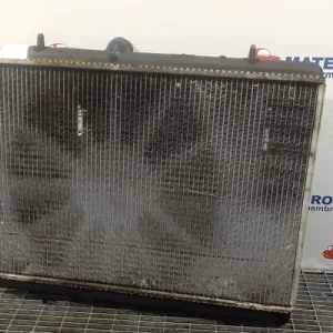 RADIATOR MOTOR