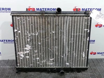 RADIATOR MOTOR