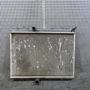 RADIATOR MOTOR