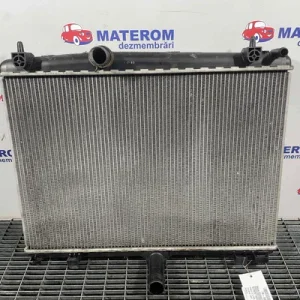 RADIATOR MOTOR