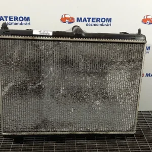 RADIATOR MOTOR