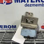 RELEU BUJII