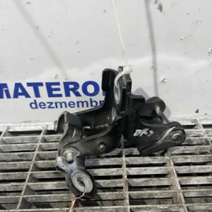 BALAMA USA SPATE