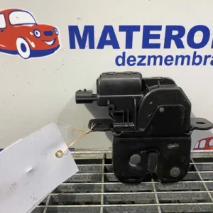 INCUIETOARE HAION