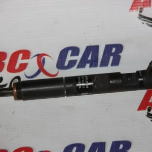 Injector RENAULT CLIO II 1998-2016 166001137R, vedere frontata
