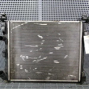 RADIATOR MOTOR