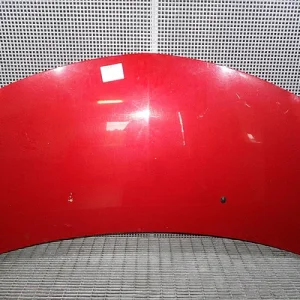 CAPOTA FATA