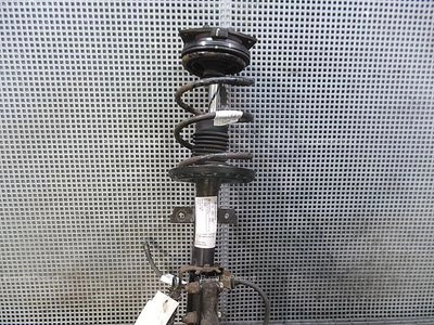 TELESCOP FATA DREAPTA RENAULT CLIO III 1.5 DCI 2005-2014, vedere frontata