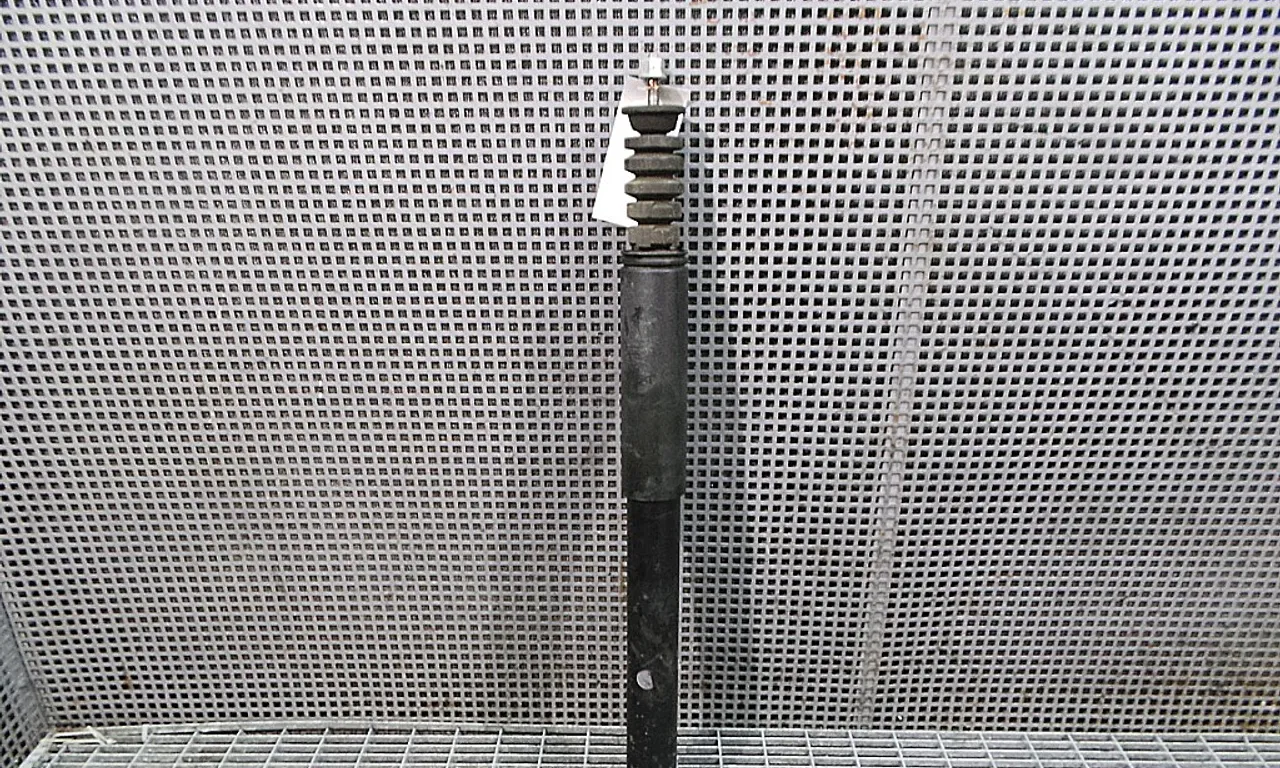 TELESCOP SPATE RENAULT CLIO III 2005-2014