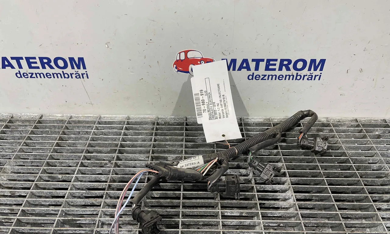 INSTALATIE ELECTRICA RENAULT CLIO IV 2012-2021