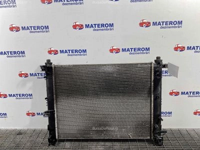 RADIATOR MOTOR