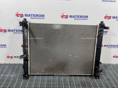 RADIATOR MOTOR