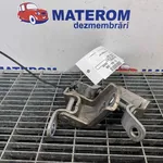 BALAMA USA SPATE