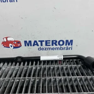 CHEIE ROTI
