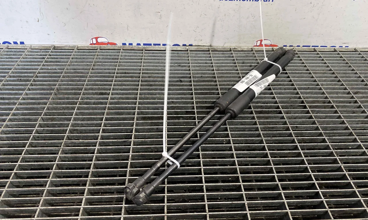 TELESCOP HAION RENAULT KADJAR 2015-2018