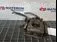 ETRIER SPATE STANGA RENAULT KADJAR 1.5 dCi 110 2015-2018 oe 440119106R, vedere frontata