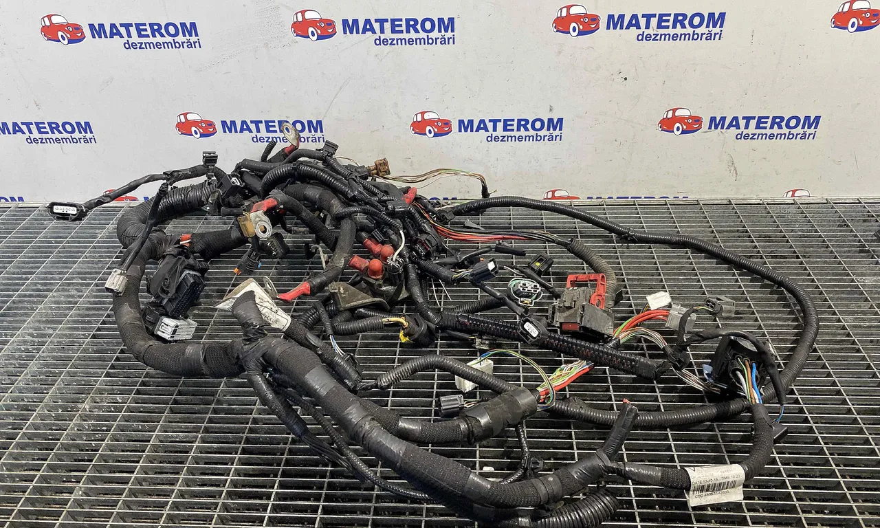 INSTALATIE ELECTRICA RENAULT KADJAR 2015-2018