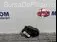 MOTORAS CLAPETA INCALZIRE RENAULT KADJAR 1.2 TCe 130 2015-2018 oe T37221B, vedere frontata