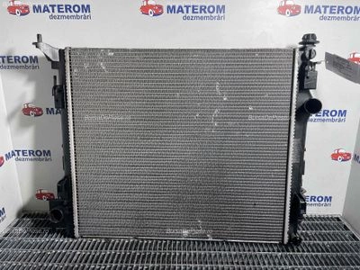 RADIATOR MOTOR
