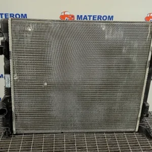 RADIATOR MOTOR