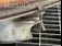 FAR DREAPTA RENAULT KANGOO 1997-2008, vedere laterala