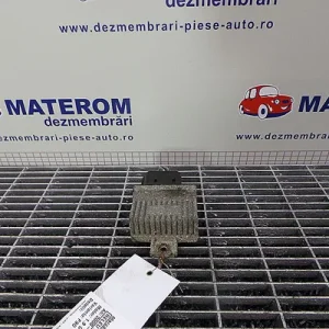 RELEU BUJII