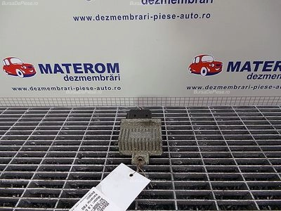 RELEU BUJII