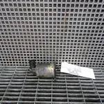 SUPAPA EGR RENAULT MASTER II 2.5 dCi 120 1997-2013 oe-8200235232, vedere frontata