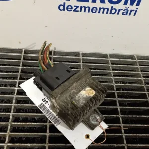 RELEU BUJII