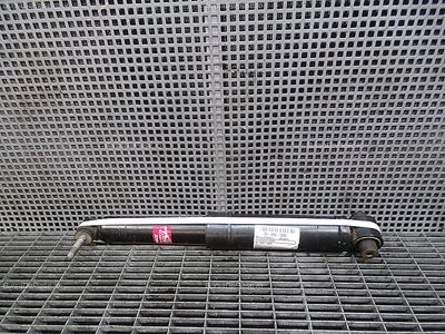 TELESCOP SPATE RENAULT MEGANE II 2001-2012, vedere frontata