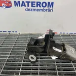 BALAMA USA SPATE