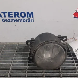 HALOGEN DREAPTA