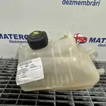 VAS EXPANSIUNE RENAULT MEGANE III 1.5 dCi 2008-2016 oe-217100005R, vedere frontata