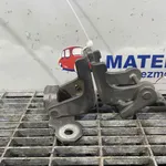 BALAMA USA SPATE