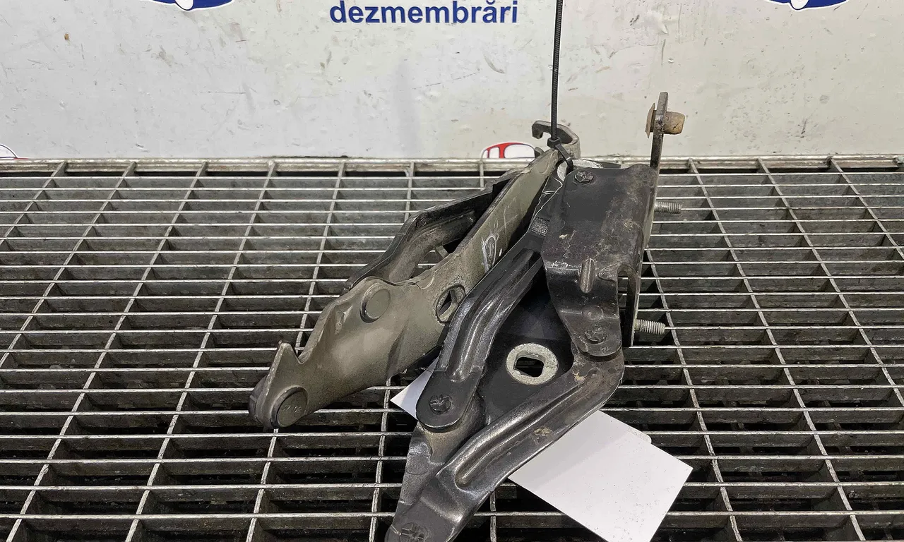 BALAMALE CAPOTA FATA RENAULT SCENIC II 2003-2010