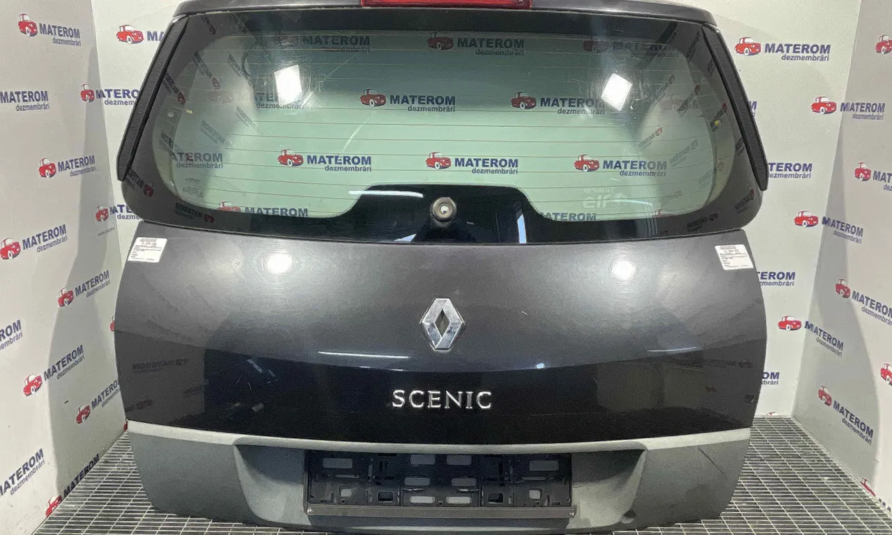 HAION RENAULT SCENIC II 2003-2010