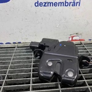 INCUIETOARE HAION