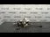 AX VOLAN RENAULT SCENIC III 1.5 dCi 2008-2016 oe 488103777R, vedere frontata