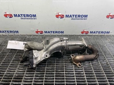 RACITOR GAZE CARTER