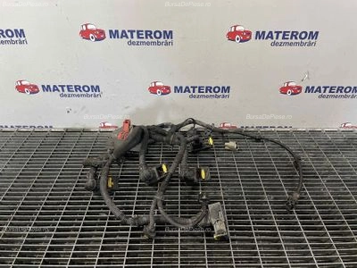 INSTALATIE ELECTRICA RENAULT TALISMAN 1.6 TCe 150 2015-2022 oe 2517256424, vedere frontata