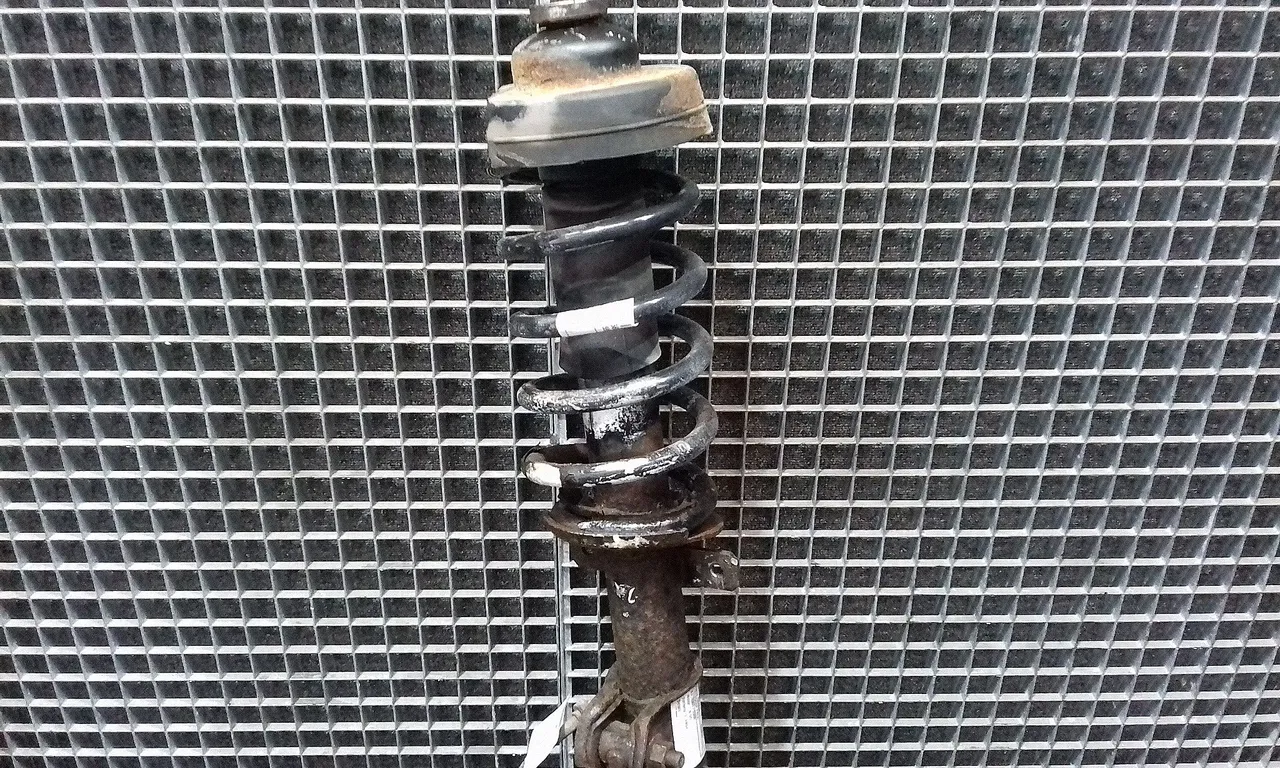 TELESCOP FATA STANGA RENAULT TRAFIC II bus 2001-2006
